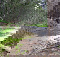 Bangadilly National Park - Accommodation Brunswick Heads