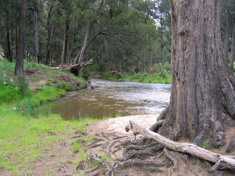 Bangadilly National Park - Accommodation Brunswick Heads 0