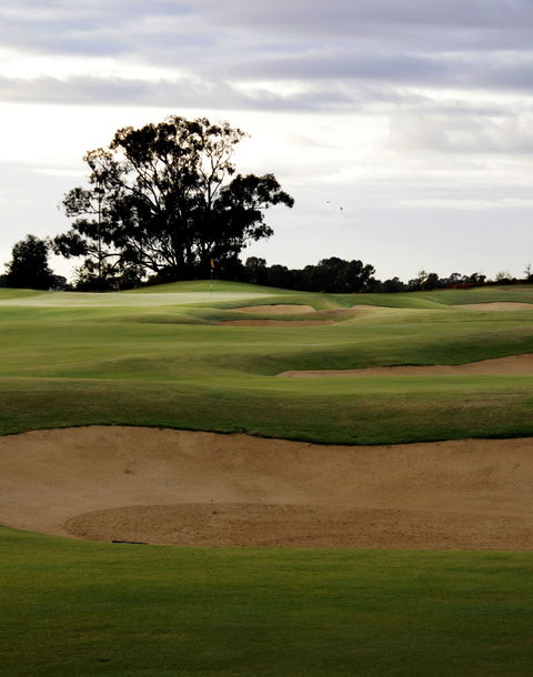 Black Bull Golf Course - Accommodation Brunswick Heads 1