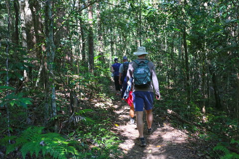Booloumba Falls Walk, Conondale National Park - Accommodation Brunswick Heads 1
