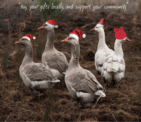 Bream Creek Farmers Market - Accommodation Brunswick Heads 1