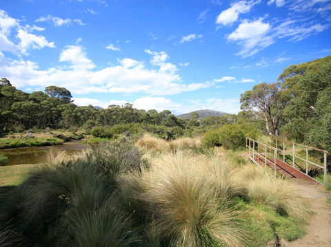 Bullocks Walking Track - Accommodation Brunswick Heads 0
