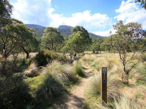 Bullocks Walking Track - Accommodation Brunswick Heads 2