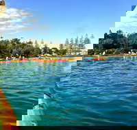 Byron Bay River Nature Kayak Tour - Accommodation Brunswick Heads