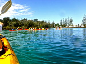 Byron Bay River Nature Kayak Tour