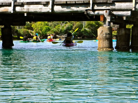 Byron Bay River Nature Kayak Tour - Accommodation Brunswick Heads 1