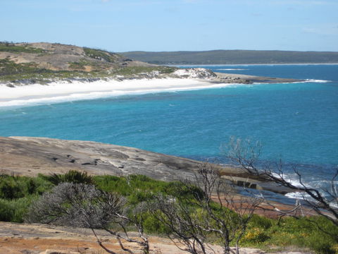 Cape Arid National Park - Accommodation Brunswick Heads 1