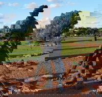 Cobar Miners Heritage Park - Accommodation Brunswick Heads