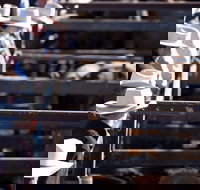 Dalby - Accommodation Brunswick Heads