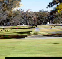 Deniliquin Golf Club - Accommodation Brunswick Heads