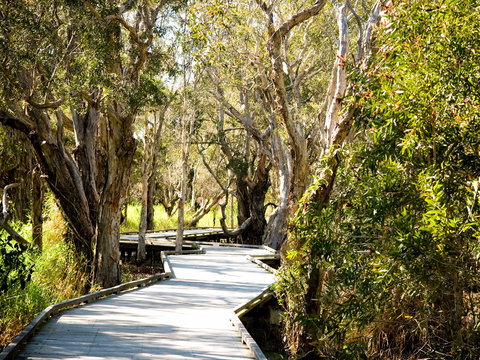 Eagleby Wetlands - Accommodation Brunswick Heads 1