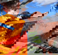 Farm Visit  Dungog - Accommodation Brunswick Heads