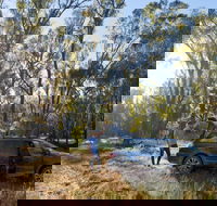 Forest Drive Murrumbidgee Valley National Park - Accommodation Brunswick Heads