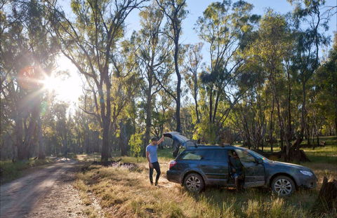 Forest Drive, Murrumbidgee Valley National Park - Accommodation Brunswick Heads 0