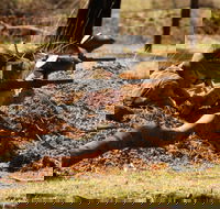 Freycinet Paintball and Campground - Accommodation Brunswick Heads