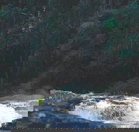 Gardners Falls - Accommodation Brunswick Heads