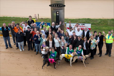 Geelong Greyhound Racing Club - The Beckley Centre - Accommodation Brunswick Heads 0