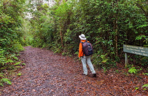 Gibraltar-Washpool World Heritage Walk - Accommodation Brunswick Heads 0