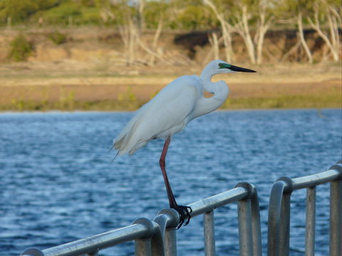 Groper Creek - Accommodation Brunswick Heads 0