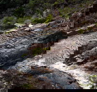 Halls Falls - Accommodation Brunswick Heads
