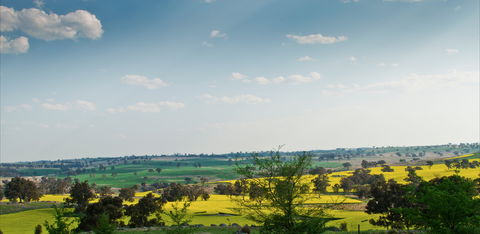 Harden Murrumburrah - Accommodation Brunswick Heads 1