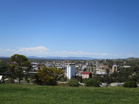 Heritage Sculptures At Pensioners Hill Lookout - Accommodation Brunswick Heads 2