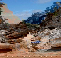 Homestead Gorge trail - Accommodation Brunswick Heads