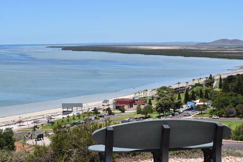 Hummock Hill Lookout - Accommodation Brunswick Heads 2