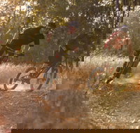 Kholo Gardens Trails - Accommodation Brunswick Heads