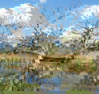 Lagoon Creek - Accommodation Brunswick Heads