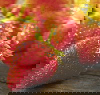 Lambs Valley - Accommodation Brunswick Heads