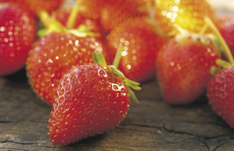 Lambs Valley - Accommodation Brunswick Heads 0