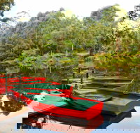 Lane Cove National Park - Accommodation Brunswick Heads