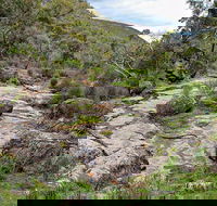 Lynchs Loop Trail - Accommodation Brunswick Heads