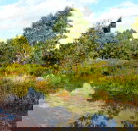 Mansfield Mullum Wetlands - Accommodation Brunswick Heads