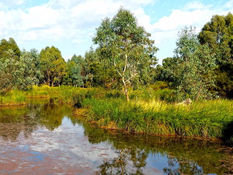 Mansfield Mullum Wetlands - Accommodation Brunswick Heads 0