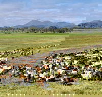 Marlborough - Accommodation Brunswick Heads