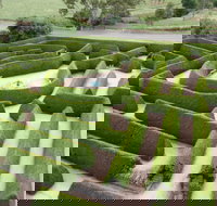 Mintaro Maze - Accommodation Brunswick Heads