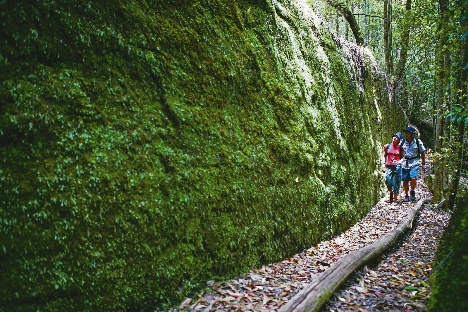 Morisset NSW Accommodation Brunswick Heads