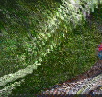 Morisset - Accommodation Brunswick Heads