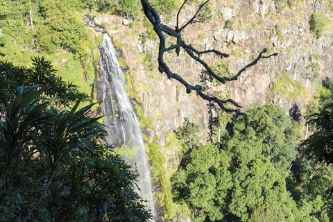 Morans Falls Track, Lamington National Park - Accommodation Brunswick Heads 0