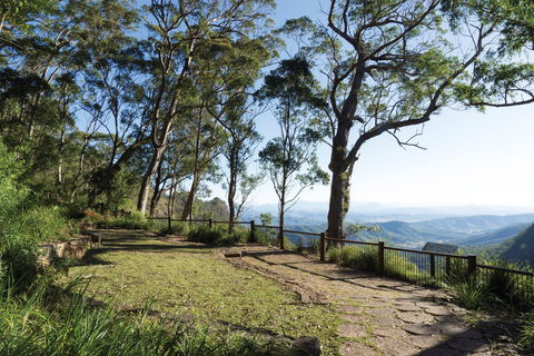 Morans Falls Track, Lamington National Park - Accommodation Brunswick Heads 1