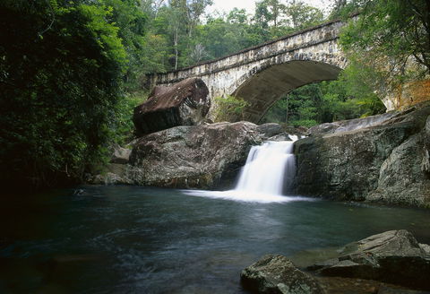 Mount Spec, Paluma Range National Park - Accommodation Brunswick Heads 0