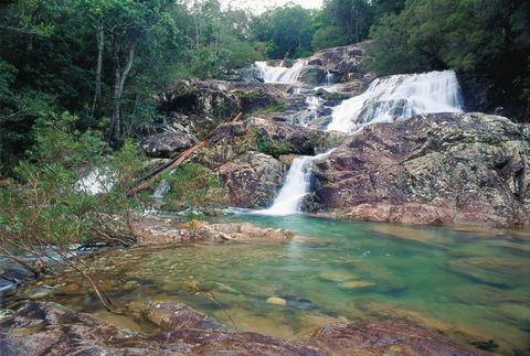 Mount Spec, Paluma Range National Park - Accommodation Brunswick Heads 1