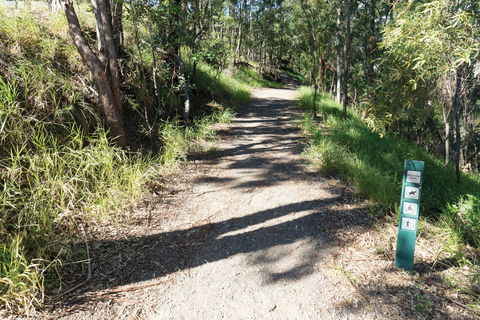 Mt Coot-tha Tourist Drive - Accommodation Brunswick Heads 2