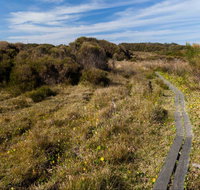 Murramarang Aboriginal Area Walking Track - Accommodation Brunswick Heads
