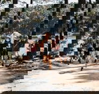 Myponga Reservoir Trail - Accommodation Brunswick Heads