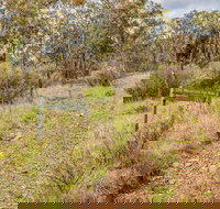 Old Mountain Road Walking Track - Accommodation Brunswick Heads