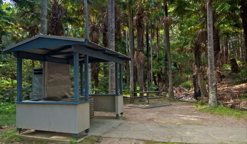 Palms Picnic Area - Accommodation Brunswick Heads 1