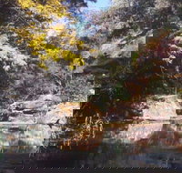 Pheasants Nest - Accommodation Brunswick Heads